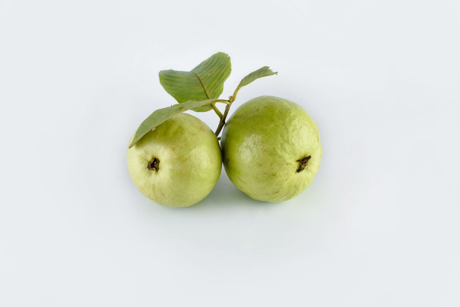 two guava fruits with